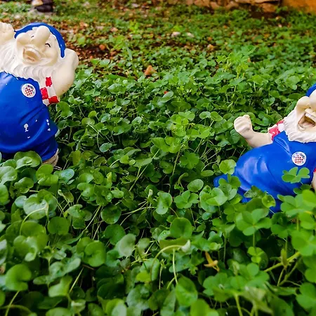 Miracle Appartement Dubrovnik